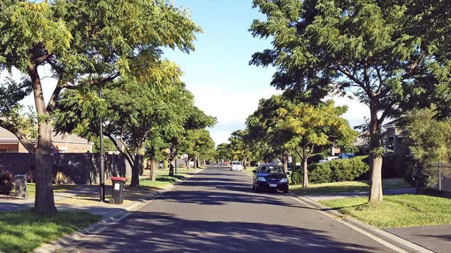 Neighborhood street with trees